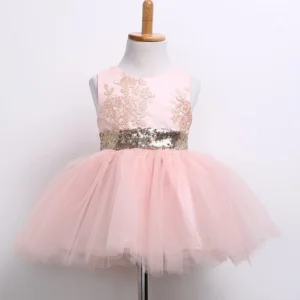 Peachy Pink Lace Dress with Sequins Bow